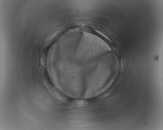 X0000113630424200910091600