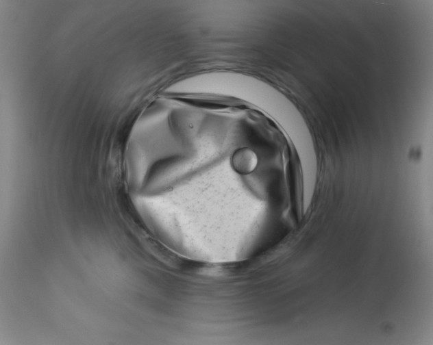 X0000113630425200910091600