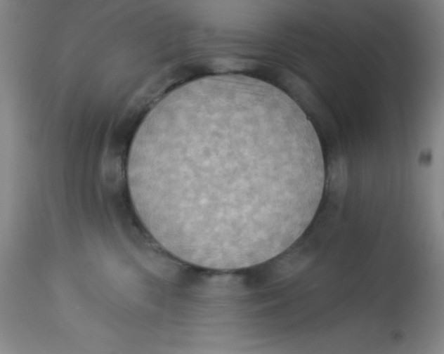 X0000113630426200910091600