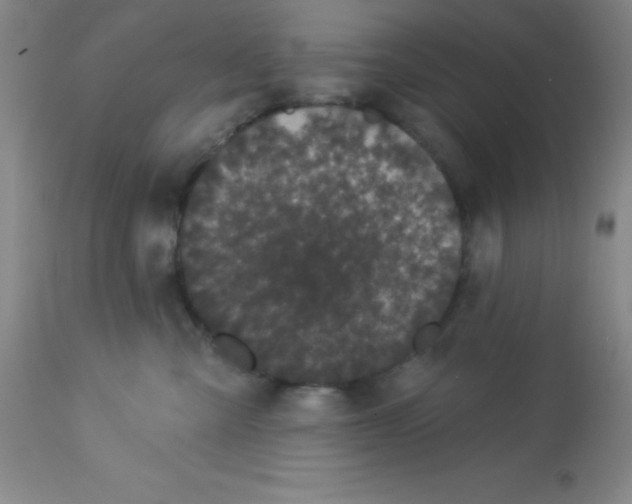 X0000113630427200910091600