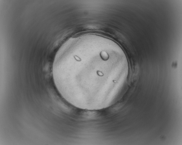 X0000113630428200910091600