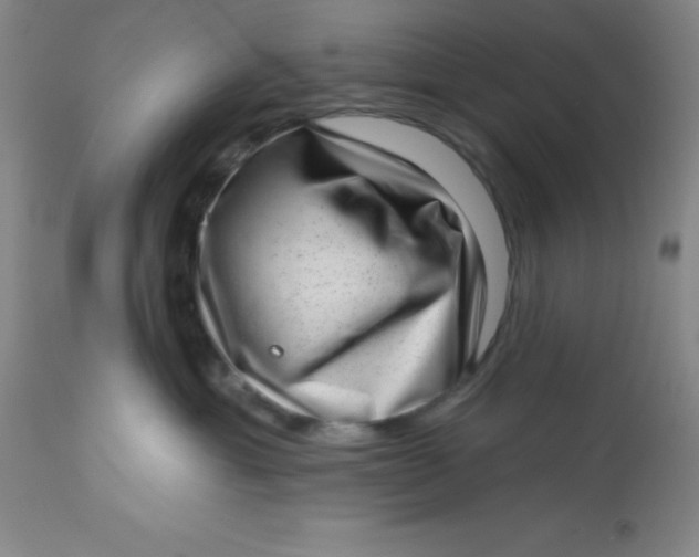 X0000113630429200910091600