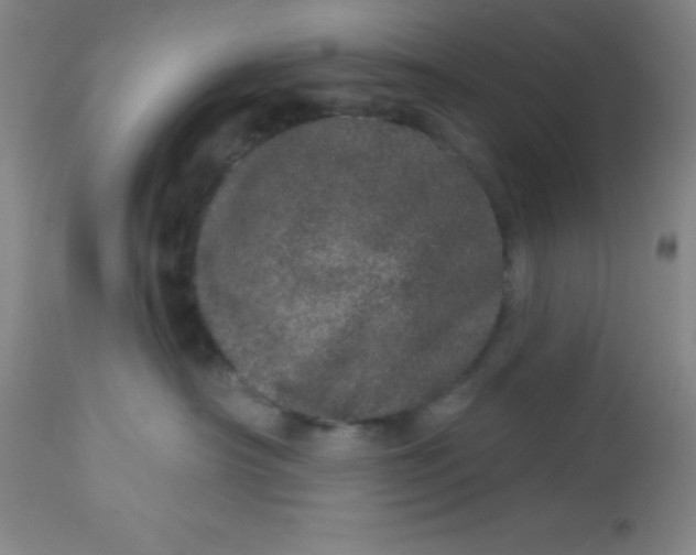 X0000113630430200910091600