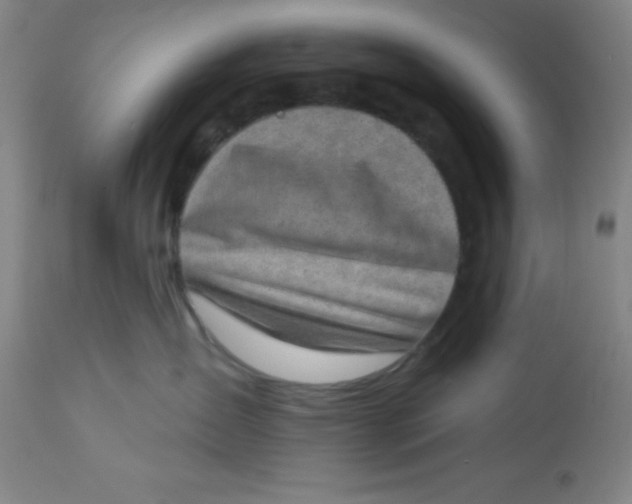 X0000113630431200910091600