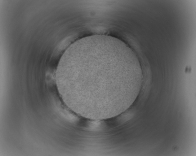 X0000113630432200910091600