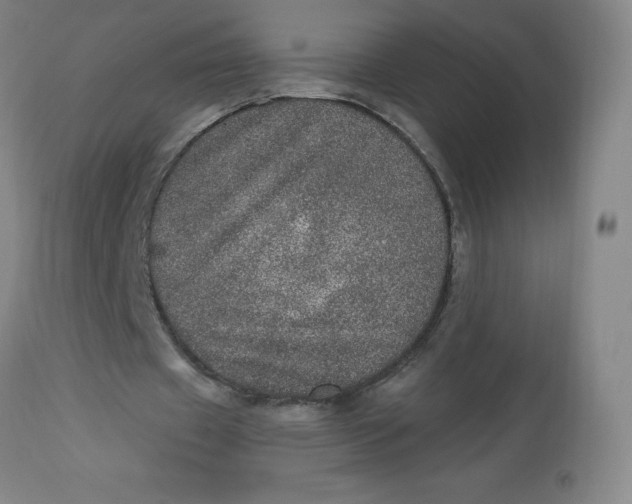 X0000113630433200910091559