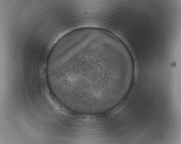 X0000113630434200910091559