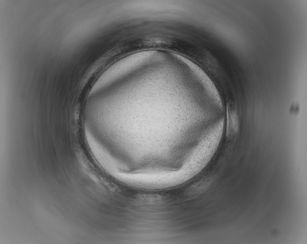 X0000113630435200910091559