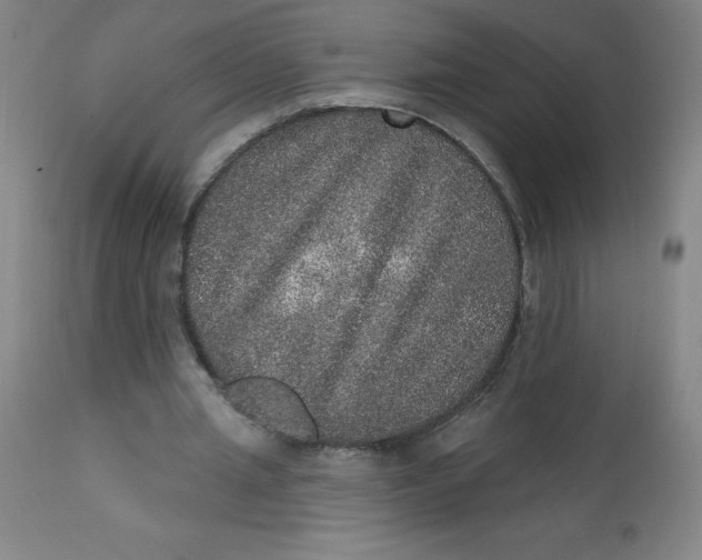 X0000113630437200910091559