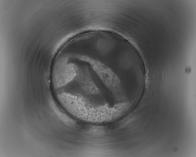 X0000113630438200910091559