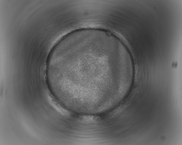 X0000113630439200910091559