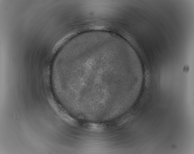 X0000113630442200910091559