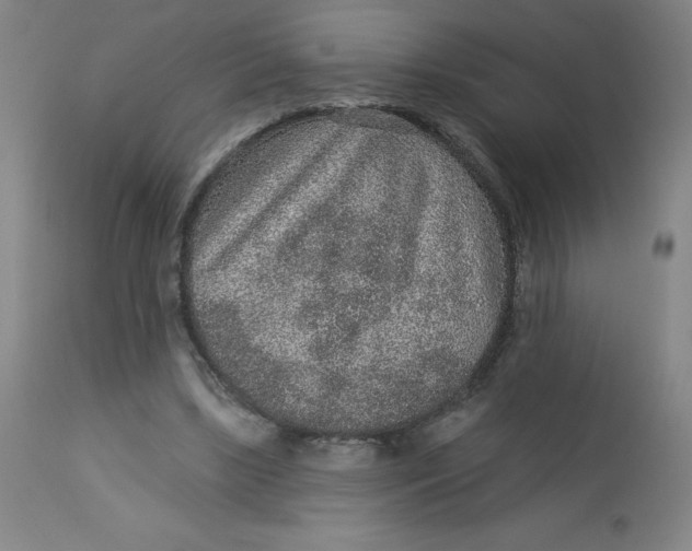 X0000113630443200910091559