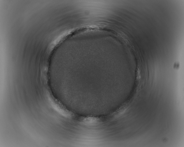 X0000113630444200910091559