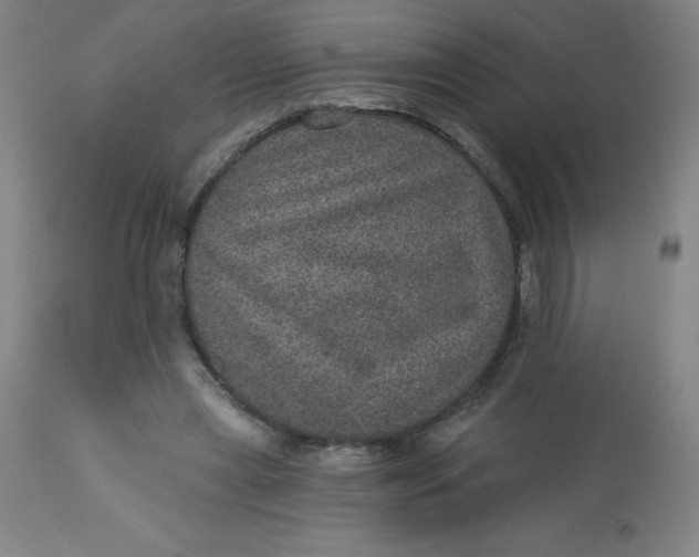 X0000113630445200910091559