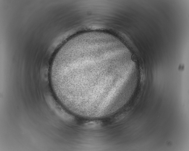 X0000113630447200910091559