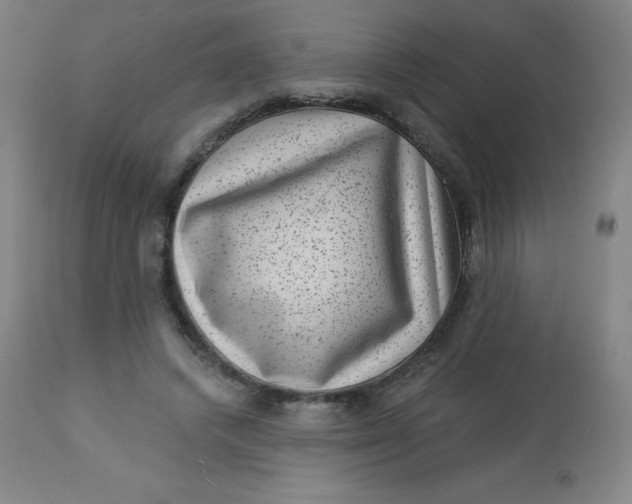 X0000113630448200910091559