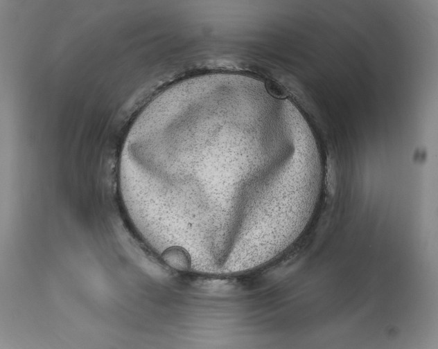 X0000113630449200910091559