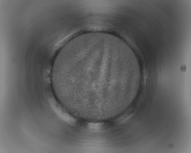 X0000113630450200910091559