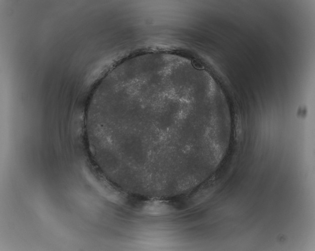 X0000113630451200910091559