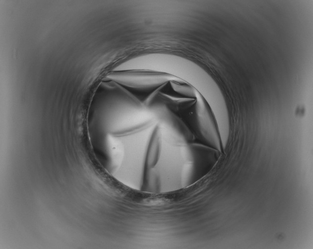 X0000113630452200910091559