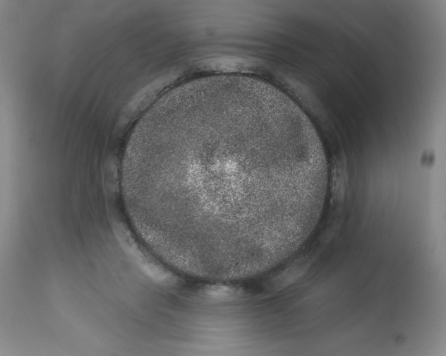 X0000113630453200910091559