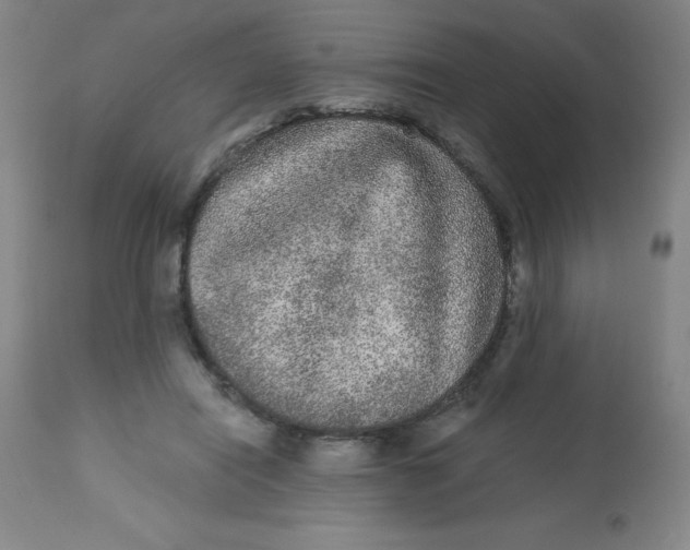 X0000113630454200910091559