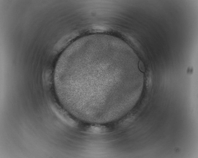 X0000113630455200910091559