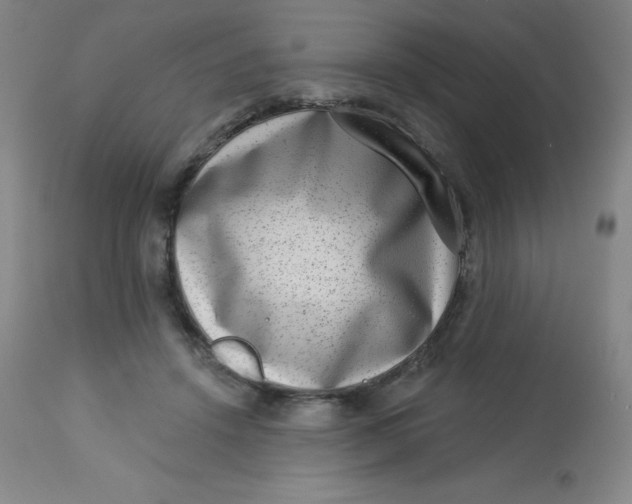 X0000113630456200910091559