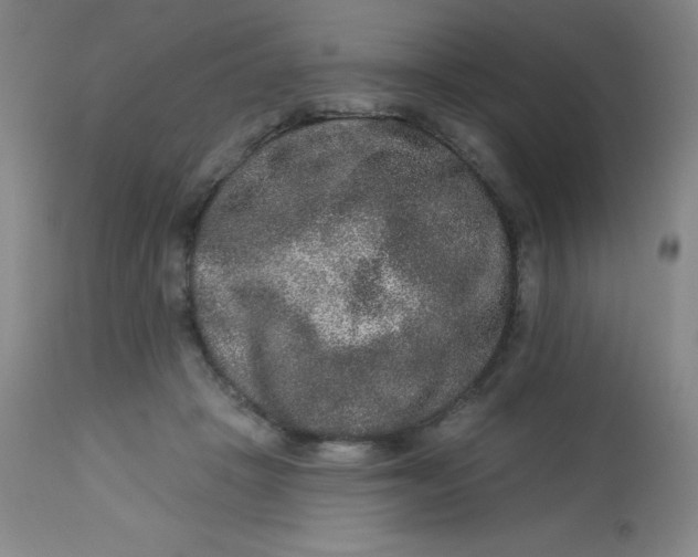 X0000113630457200910091559