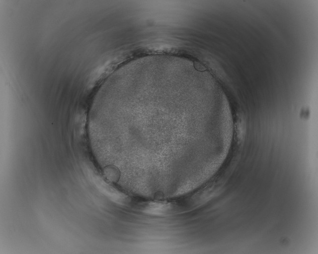 X0000113630458200910091559