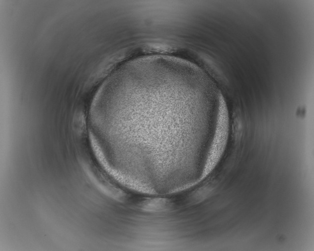 X0000113630459200910091559