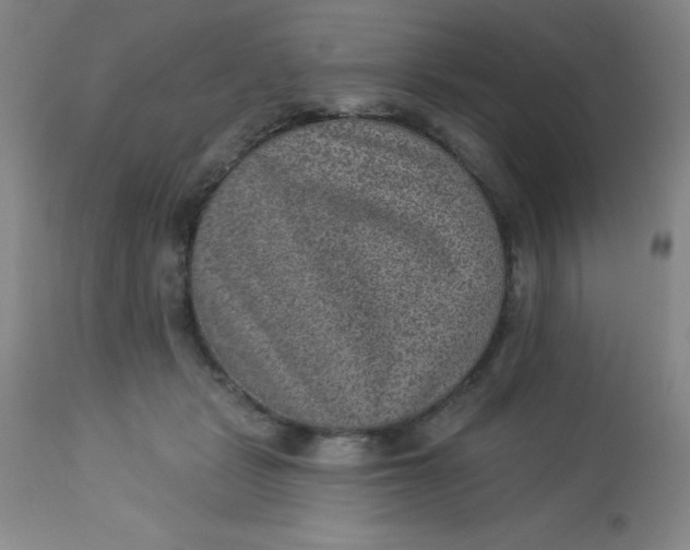 X0000113630461200910091559