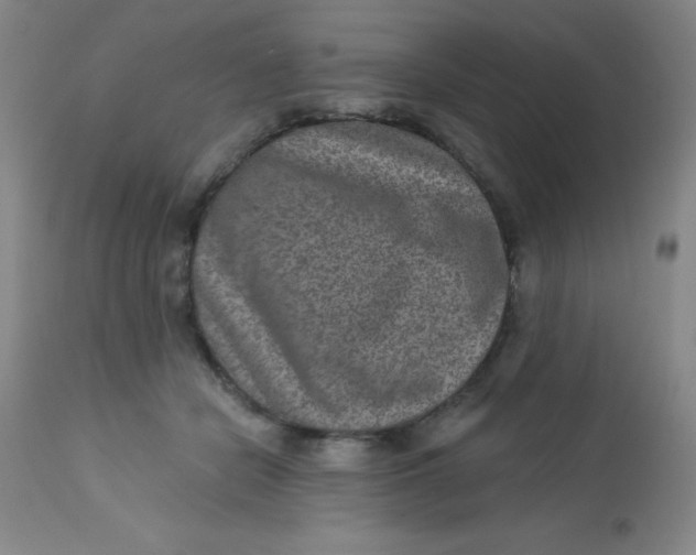 X0000113630462200910091559