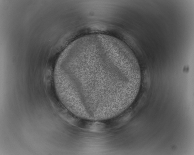 X0000113630463200910091559