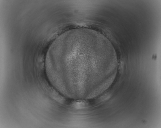 X0000113630466200910091600