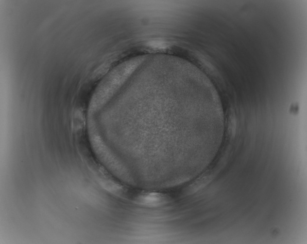 X0000113630467200910091600