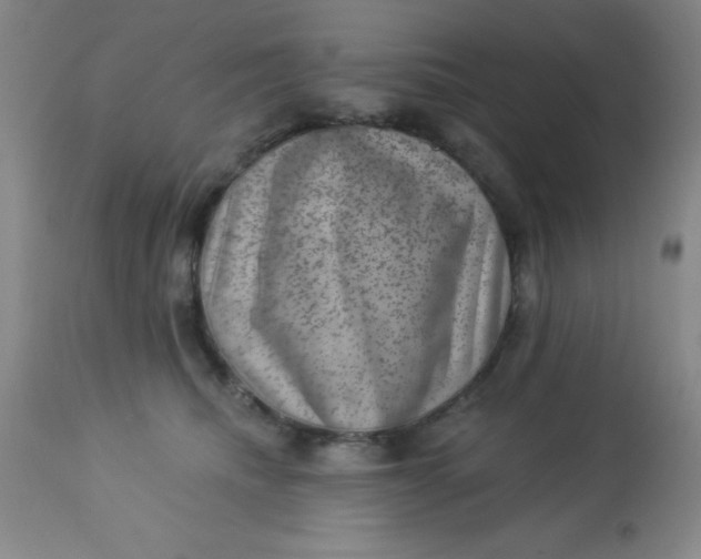 X0000113630468200910091600