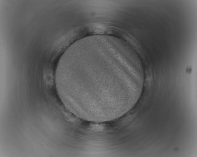 X0000113630469200910091600