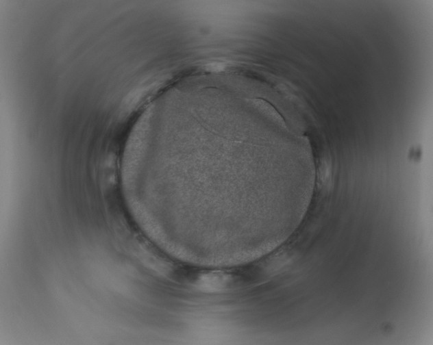 X0000113630470200910091600