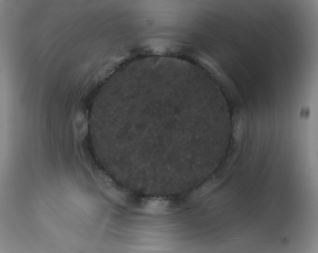 X0000113630471200910091600