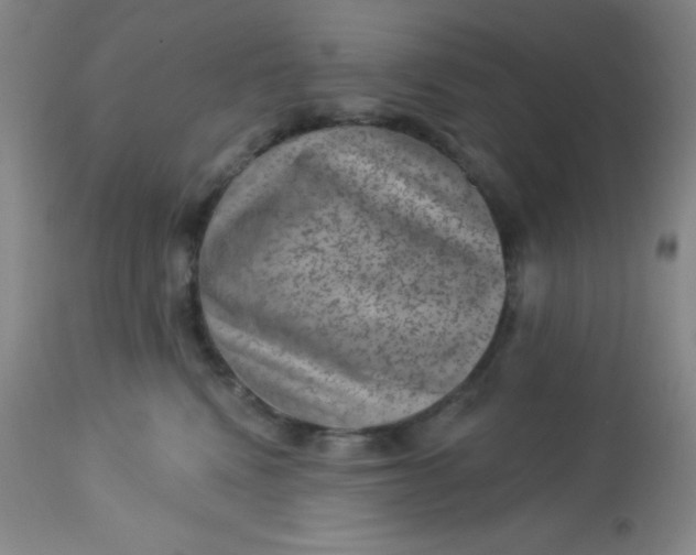 X0000113630472200910091600