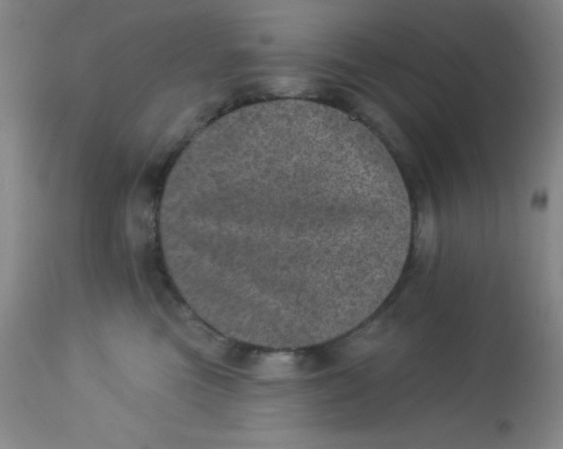 X0000113630473200910091600