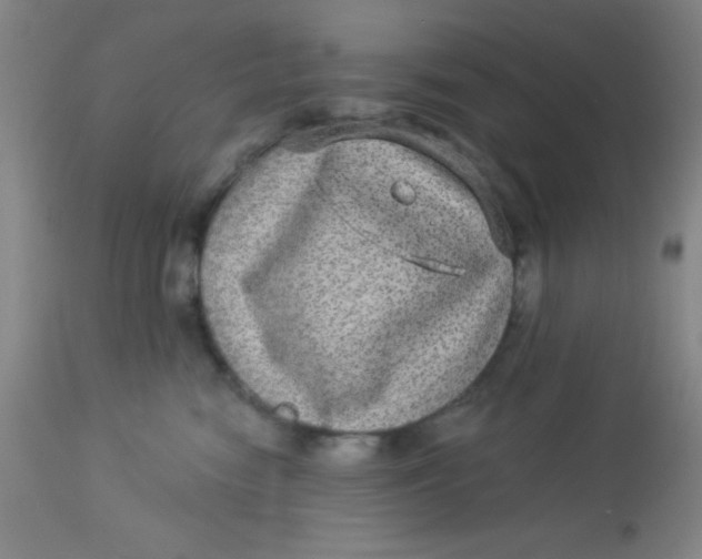 X0000113630474200910091600