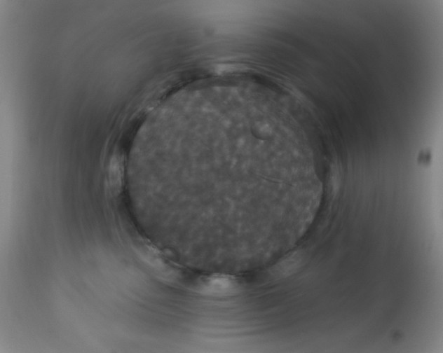 X0000113630475200910091600