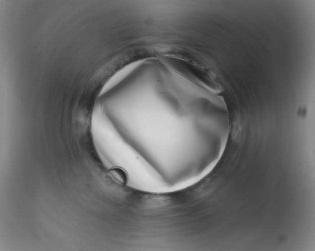 X0000113630476200910091600