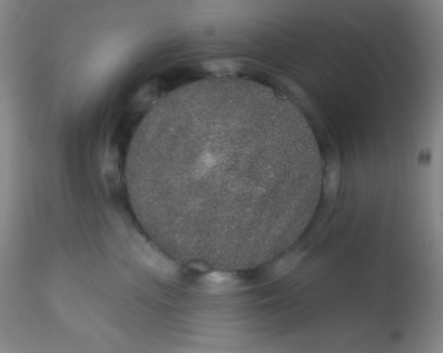 X0000113630477200910091600