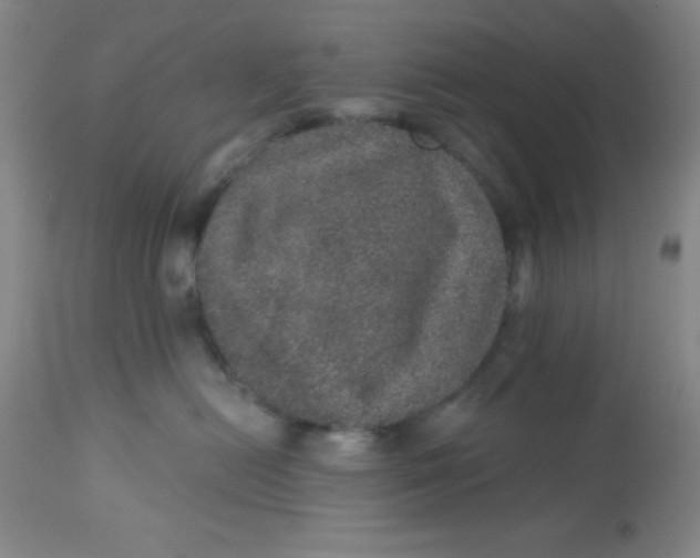 X0000113630478200910091600