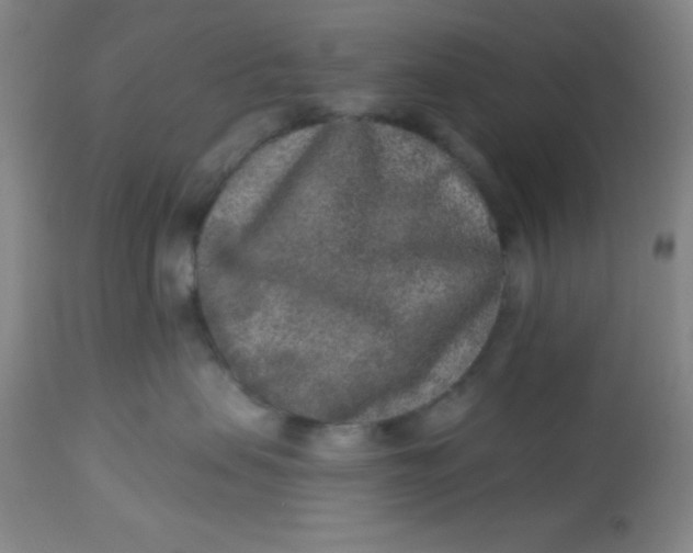 X0000113630479200910091600