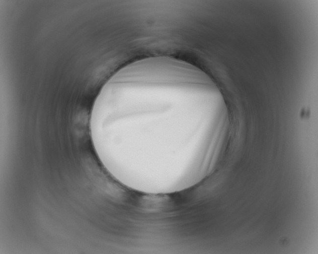 X0000113630480200910091600